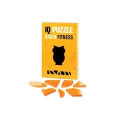Головоломка Сова, IQ Puzzle Фітнес для мозку, 1 шт